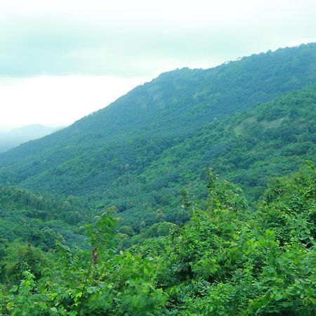 Whiteflower Mountain Resort Perintalmanna المظهر الخارجي الصورة