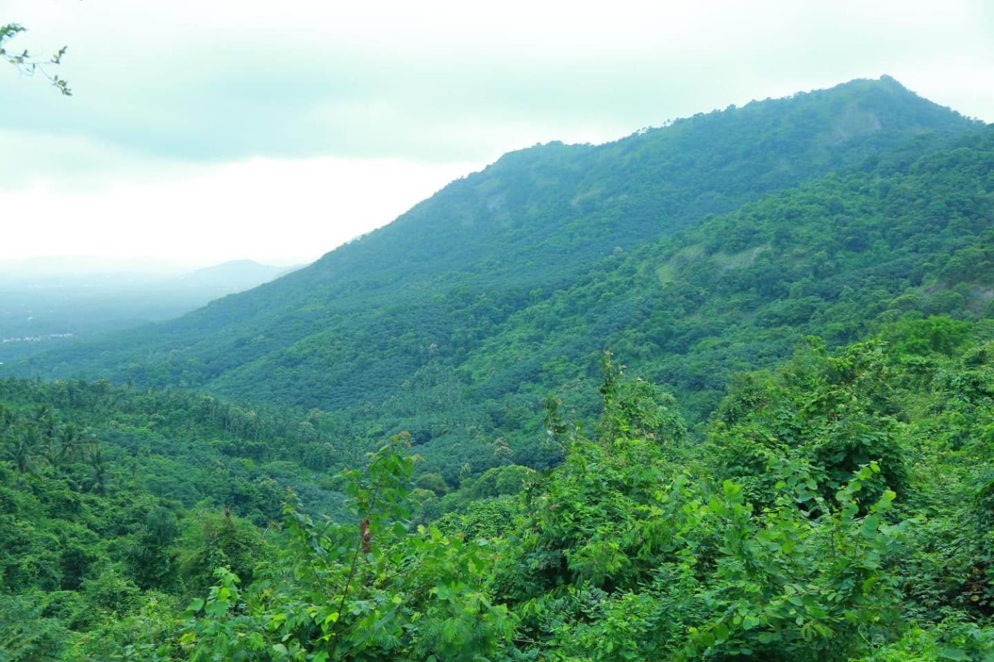 Whiteflower Mountain Resort Perintalmanna المظهر الخارجي الصورة